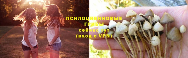 крисы Беломорск